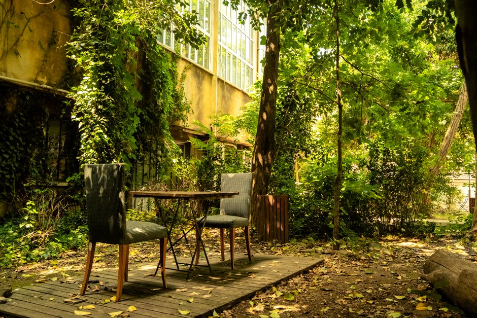 Lommerrijke schaduwtuin met diverse groene planten.